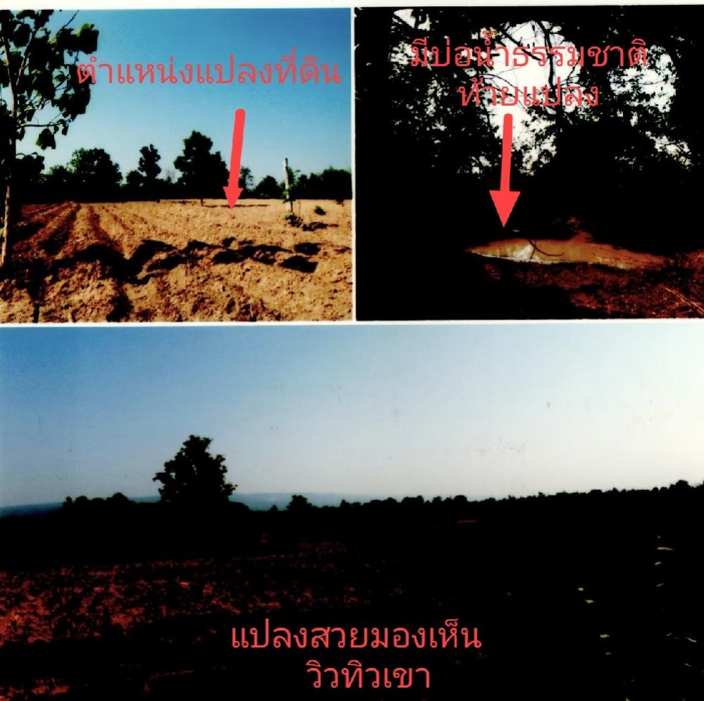 ขายที่ดินชัยภูมิ : 🎉🔥Land🔥🎉 🌟Hot Sale🌟 ที่ดินเปล่า ต.ห้วยต้อนอ.เมืองชัยภูมิ จ.ชัยภูมิขนาด 10 ไร่ 1 งาน 67 ตร.วาติดถนนสายหลัก เข้าซอยไม่ถึง 100 เมตรที่ดินสวย ราคาดี💰พร้อมโอน 🌠🌠🌠