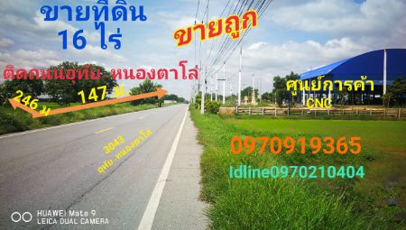 For SaleLandAyutthaya : Land for sale on Uthai-Nong Talo road, 16 rai, Uthai district, Phra Nakhon Si Ayutthaya province.