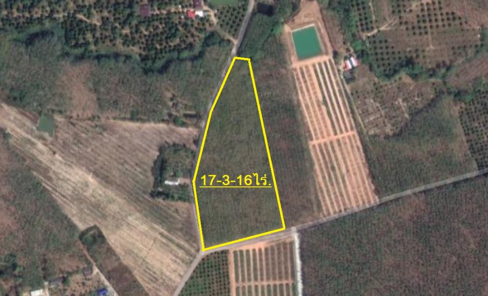For SaleLandChanthaburi : Land for sale in rubber plantation 17 rai, Na Yai Am District, Chanthaburi (next to the owner)