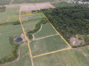 For SaleLandKanchanaburi : urban land Beautiful plot next to the forest and water source 20 rai, Chong Dan Subdistrict, Lumrang District, Bo Ploy District, Kanchanaburi Province
