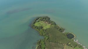 ขายที่ดินตราด : ขายที่ดิน จ.ตราด ใกล้เกาะช้าง ล้อมรอบไปด้วยทะเลSeafront Land Plot in Trat, Thailand for sale37 RAIS  (59,200 sqm.)