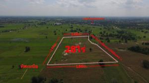 For SaleLandKorat Nakhon Ratchasima : Selling cheap, land 28 rai 3 ngan, Ban Nong Kok, 14 km from Sikhio district, suitable for farming.