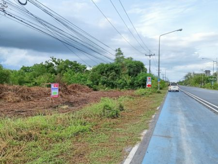 ขายที่ดินนครศรีธรรมราช : ขาย ที่ดิน ติดถนนปากนคร ที่ใกล้เมืองที่ดิน 260.4 ตร.วา ทำเลดี เดินทางสะดวก