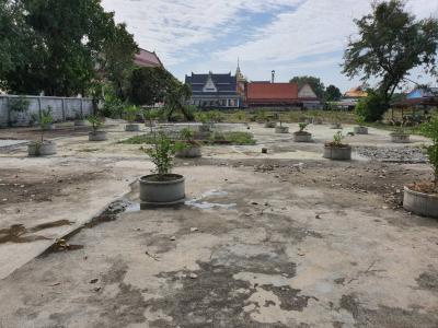 For SaleLandBang kae, Phetkasem : (Sell by owner) Selling 2 adjacent plots of land, 5 rai, 1 ngan, 60 square wa.