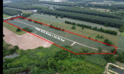 For SaleLandRayong : Land for sale in the EEC area, Nikhom Phatthana District, Rayong Province, next to Route 3376.