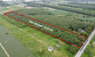For SaleLandRayong : Land for sale in the EEC area, Nikhom Phatthana District, Rayong Province, next to Route 2026.