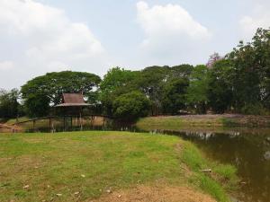 For SaleLandAyutthaya : Land for sale next to the river, area of 16 rai, 2 ngan, 89 sq m., Bang Sai District, Ayutthaya, plus a 100-year-old Thai-style house.