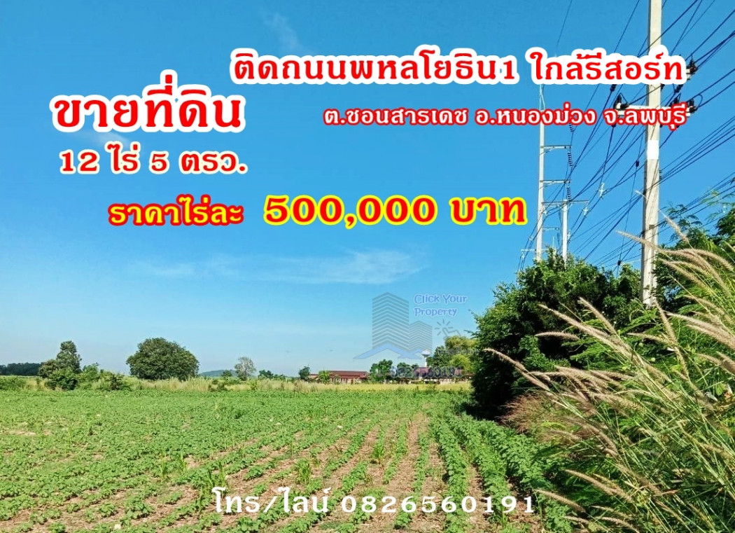 ขายที่ดินลพบุรี : ขาย ที่ดิน ติดถนนพหลโยธิน1 ใกล้รีสอร์ท บนทำเลดี 12 ไร่ 5 ตร.วา จ.ลพบุรี