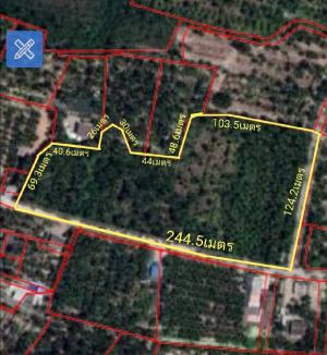 For SaleLandRatchaburi : Land for sale in Ratchaburi, next to Khung Krathin Subdistrict Road, 14 rai 3 ngan 43 sq m.