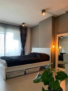 For RentCondoRatchadapisek, Huaikwang, Suttisan : Ratchada Orchid --New!!! Available unit contact us Line ID:@lovebkk (with @ ) #Condo for rent