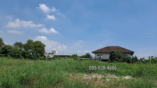 For SaleLandBangna, Bearing, Lasalle : Land for sale 202 sq wa, Soi Lasalle 48, near BTS Yellow Line, Sri Bearing Intersection