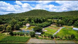 For RentLandChiang Mai : Land for rent 15 rai, organic farming business, Chiang Mai Province.