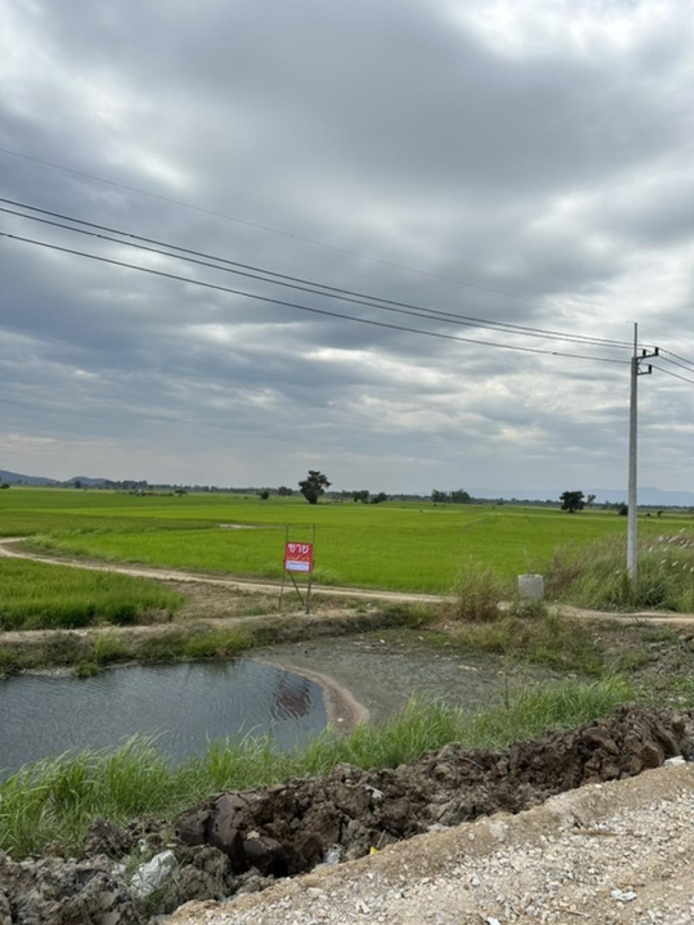 For SaleLandNakhon Sawan : urgent! 14 rai, Muang District, 1.8 million per rai, next to the road 122 bypass, Nakhon Sawan, width 200 meters
