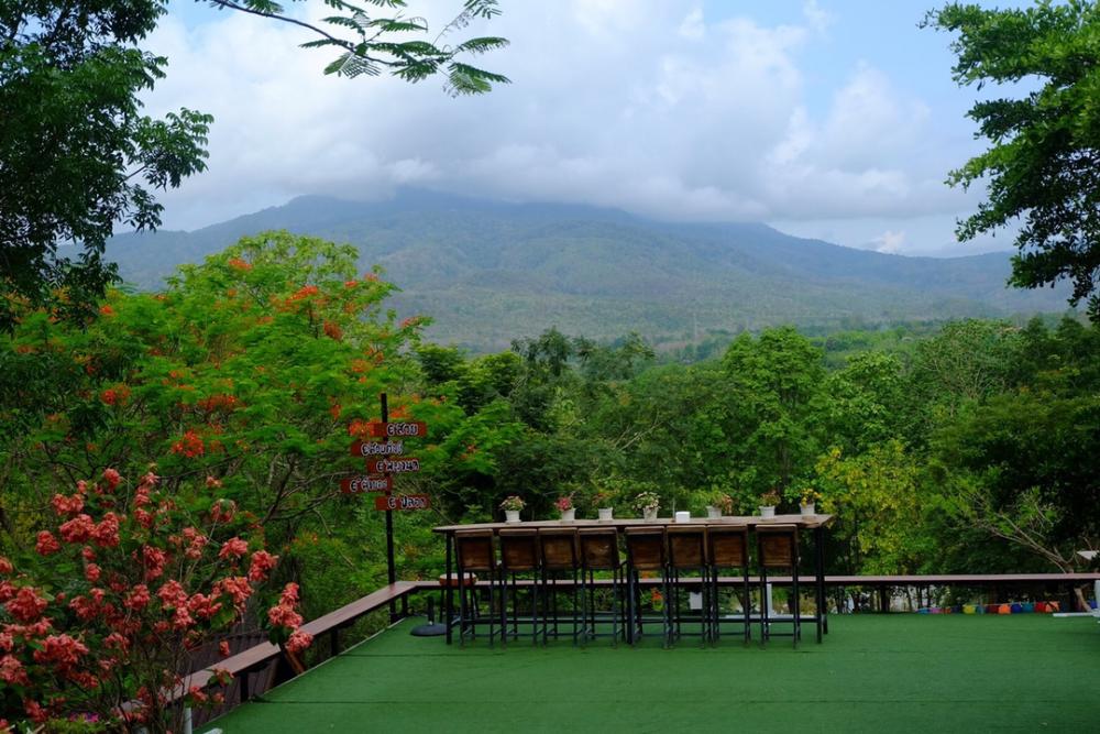 For SaleLandChiang Mai : Beautiful mountain land for sale, Mae Rim District, Chiang Mai.