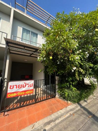 ขายบ้านบางนา แบริ่ง ลาซาล : ขายบ้านสวย แปลงมุม สภาพดีมาก เดอะคัลเลอร์ บางนา กม.10