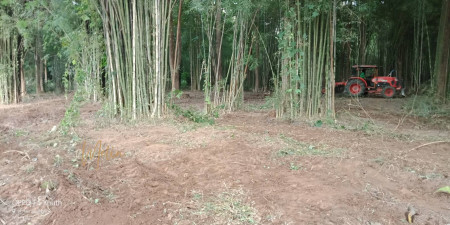 For SaleLandNan : Beautiful plot of land for sale, Nan Province, next to the Nan River. It is close to the nan de punna hotel with cabarang palace.
