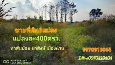 ขายที่ดินน่าน : ขาย ที่ดิน ติดถนน วิวสวย 100 ตร.วา ต.ผาสิงห์ เมืองน่าน