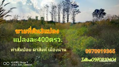 For SaleLandNan : Land for sale, next to the road, beautiful view, 100 sq wa, Pha Sing Subdistrict, Mueang Nan