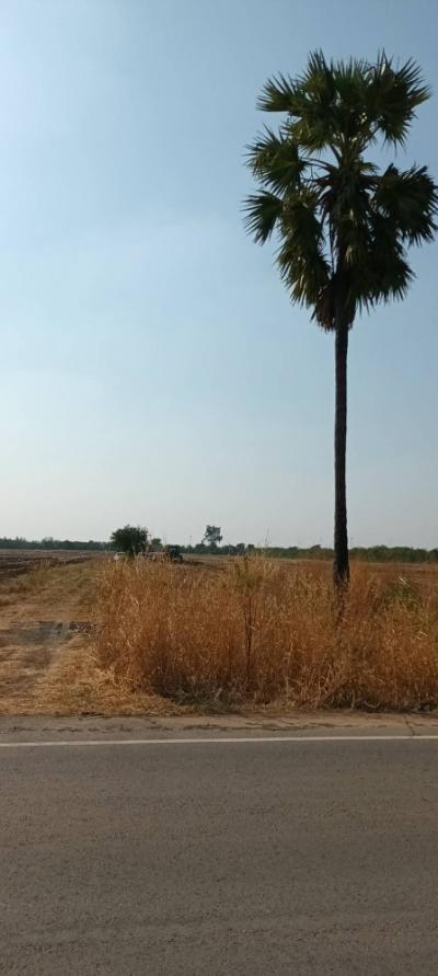 For SaleLandLop Buri : Land for sale, very cheap, in front of the road, mountain view, Soi 19, Sai 3, Phatthana Nikhom District, Lopburi Province