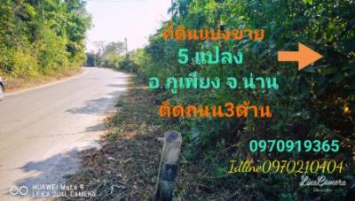 For SaleLandNan : Land for sale, divided into 5 plots, next to the road on 3 sides, 17 rai 169 square wa, Phu Phiang District, Nan So Province