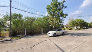 For SaleLandPathum Thani,Rangsit, Thammasat : Land for sale, Thanyapirom Village, Rangsit, Khlong 10, large plots, 169 sq m., beautiful in the housing project.