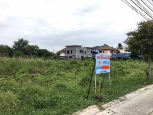 For SaleLandBang kae, Phetkasem : Land for sale 359 sq wa, Soi Petchkasem 77, intersection 3-8, opposite Chong 3, Nong Khaem.