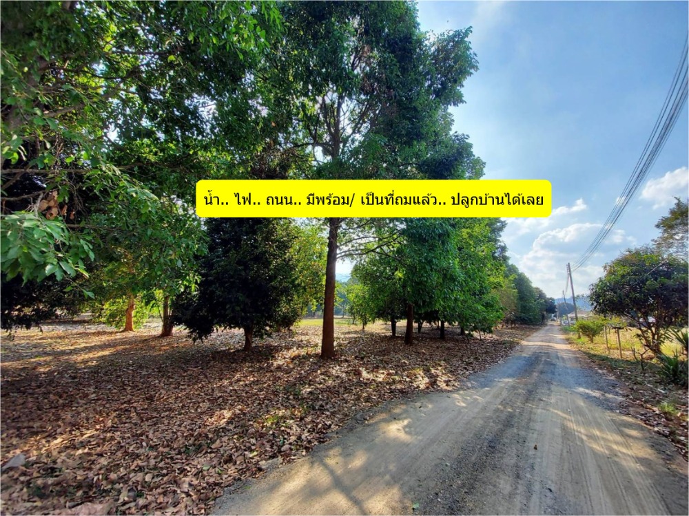 For SaleLandPak Chong KhaoYai : Land for sale in Khao Yai, Khao Wong Zone, Pak Chong, 4 rai, mountain views, front and back, with big trees, water and electricity ready.