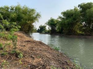 For SaleLandAyutthaya : Land for sale 3 rai, next to the Chao Phraya River, beautiful plot, good location