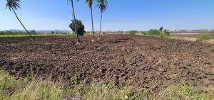 For SaleLandLop Buri : Land for sale, Soi 13, Phatthana Nikhom Subdistrict, Phatthana Nikhom District, Lopburi Province, golden location, next to the road, selling very cheap