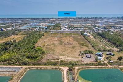 For SaleLandHatyai Songkhla : Land for sale, 32 rai, 3 ngan, 48 square wa, near the sea, land on the main road, Songkhla, selling price is lower than the appraised value.