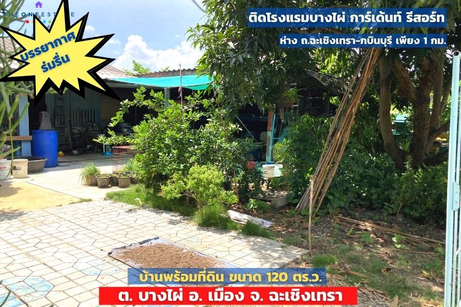 ขายบ้านฉะเชิงเทรา : 📣 บ้านเดี่ยวพร้อมที่ดินบรรยากาศร่มรื่น ขนาด 120 ตร.ว. ใกล้ตัวเมืองแปดริ้ว ต.บางไผ่ อ.เมือง จ.ฉะเชิงเทรา