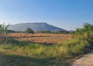 For SaleLandLop Buri : Land for sale in Soi 23, Phatthana Nikhom Subdistrict, Phatthana Nikhom District, Lopburi