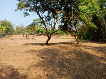 For SaleLandChiang Mai : Land for sale in Mae Pong Doi Saket District, Chiang Mai 7-2-3 rai, next to the road on 2 sides, near Mae Hong Krai Temple