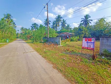 For SaleLandNakhon Si Thammarat : Land for sale in Ron Phibun District Nakhon Si Thammarat Province, 2 rai 2 ngan 66.3 sq m, suitable for building a garden house.
