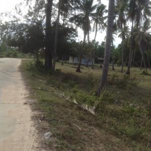 For SaleLandHua Hin, Prachuap Khiri Khan, Pran Buri : Land for sale in Prachuap Khiri Khan Province, Mueang District, the owner is selling cheap, area 1 rai. Buy now, definitely profit. because tourist attractions are expanding