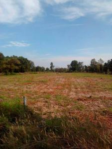 For SaleLandMaha Sarakham : Land for sale 8 rai, next to Mahasarakham University (New University), land on two sides of the road. Sold as a plot or can be divided into 4 rai.