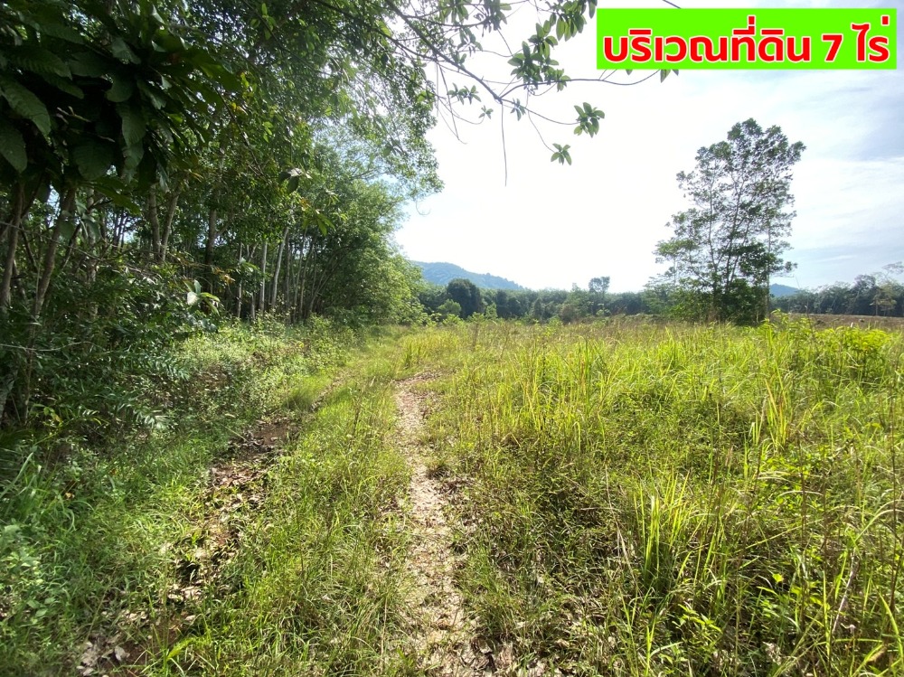 For SaleLandRayong : Selling cheap land 0.37 million baht per rai, with a pond ready to use, area 7 rai, near Kachad intersection, Mueang Rayong District, Rayong Province (not flooding)