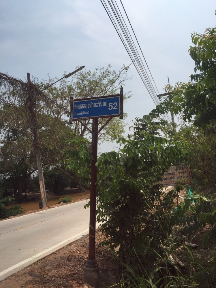 For RentLandPathum Thani,Rangsit, Thammasat : Land for rent in Khlong 5, Rangsit, land size 5 rai, rent 9000 baht per month