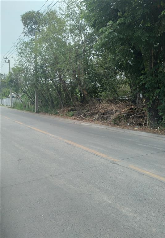 ขายที่ดินเกษตรศาสตร์ รัชโยธิน : ขายที่ดินเปล่า ถนนพหลโยธิน 48 ขนาด 200 ตารางวา แปลงสวยทำเลดี เจ้าของขายเอง