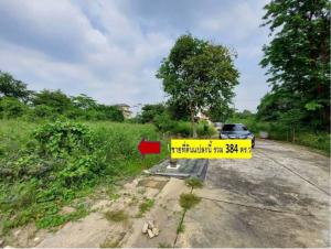 For SaleLandPhutthamonthon, Salaya : Land for sale 384 sq m in the Sinpattana Thani project, Phutthamonthon Sai 4, Kratum Lom 18, Thawi Watthana.