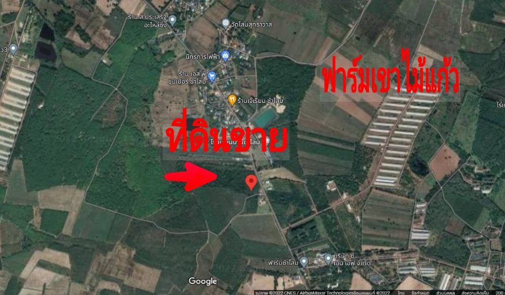 For SaleLandPrachin Buri : Land for sale, 51 rai 83 square wah, opposite Ban Chamsom School, Kabinburi, Prachinburi.