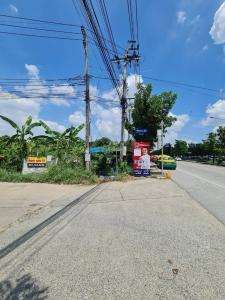 ให้เช่าที่ดินนครปฐม พุทธมณฑล ศาลายา : ให้เช่าที่ดิน ระยะยาว 288 ตรว. พุทธมณฑลสาย 1 ซอย 39 ทุ่งมังกร ตลิ่งชัน ปิ่นเกล้า สายใต้ใหม่