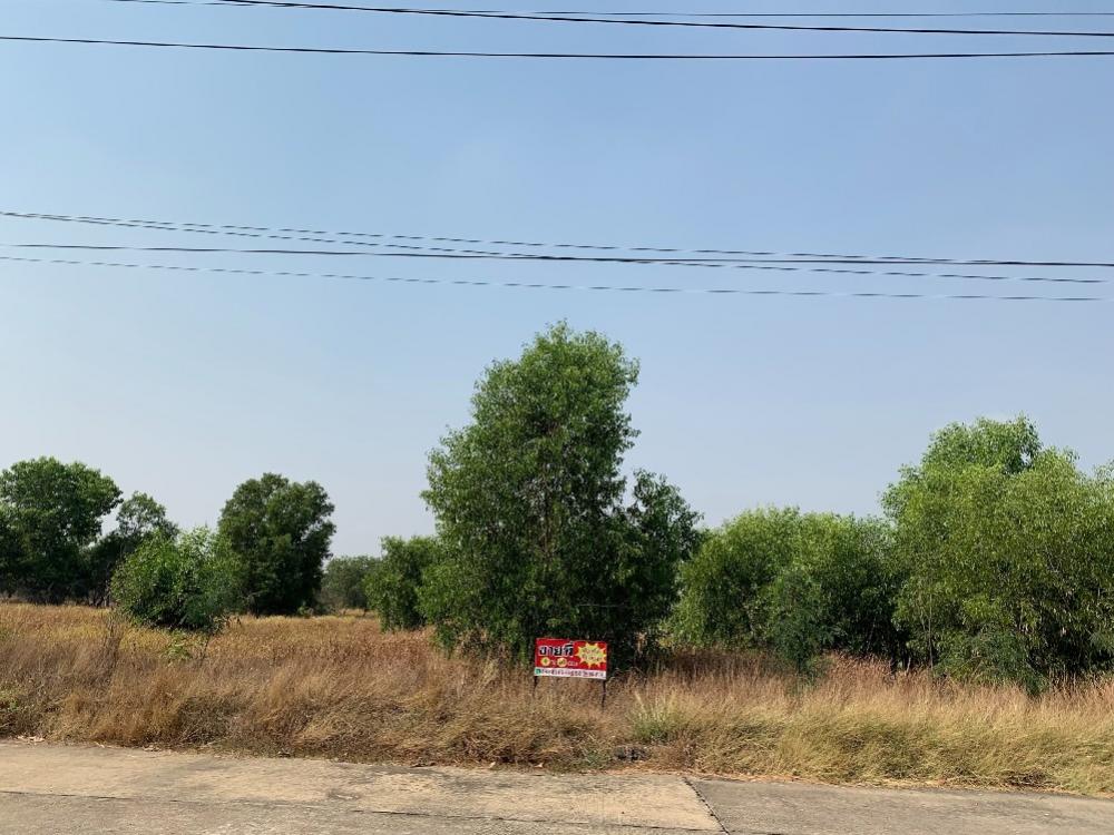 For SaleLandAyutthaya : Land for sale, good location, 4 rai, Wang Noi, Phra Nakhon Si Ayutthaya