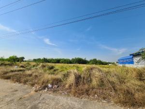 For SaleLandAyutthaya : Land for sale, good location, 4 rai, Wang Noi, Phra Nakhon Si Ayutthaya