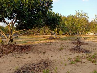 For SaleLandSriracha Laem Chabang Ban Bueng : Cheap land for sale, 5 rai, can be divided for sale, 300 m. from Rai Kluai_Assumption Road, Sriracha, the cheapest on this road.