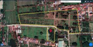 For SaleLandBang kae, Phetkasem : Land for sale in Phutthamonthon Sai 2, size 33 rai, Soi Wat Boonyapradit School. suitable for projects