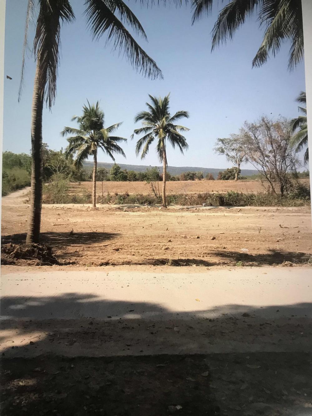 For SaleLandLop Buri : Land for sale, 50 rai, title deed, Garut Daeng, Lop Buri Province, next to Narai Hill Golf Course. suitable for resort vacation home Dharma practice, beautiful, quiet, peaceful nature