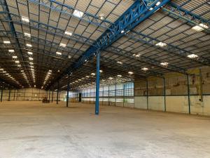 For RentWarehousePattaya, Bangsaen, Chonburi : #Warehouse for rent, Chon Buri Phanat Nikhom warehouse, area size 6,750 sq m. : Warehouse 50 meters wide