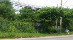 For SaleLandBang kae, Phetkasem : Selling beautiful, good price. Beautiful, corner plot, next to the road, 2 sides, 2 rai, width 40, depth 80, filled Petchkasem 63