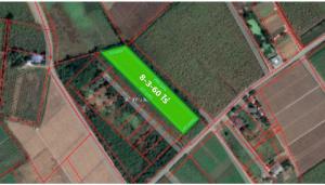For SaleLandKanchanaburi : Land for sale in Tha Muang, Wang Khanai, Kanchanaburi, area 8-3-60 rai, filled with beautiful plots, near Ban Nong Ta Bong School